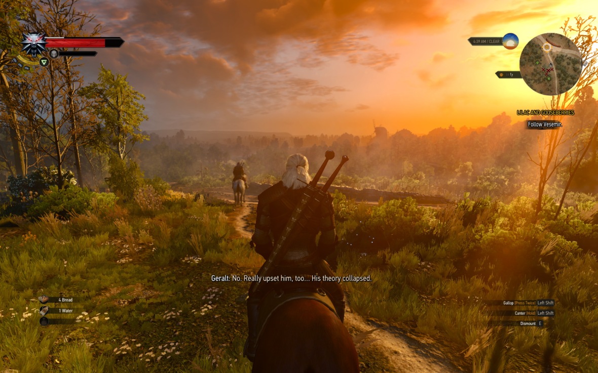 The Witcher 3: Wild Hunt gameplay screenshot
